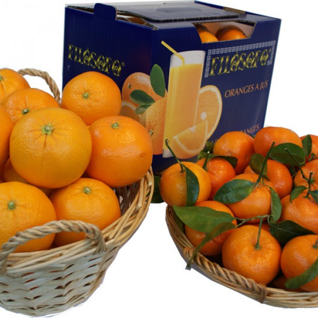  Laranja eta mandarinaz osatutako paketea