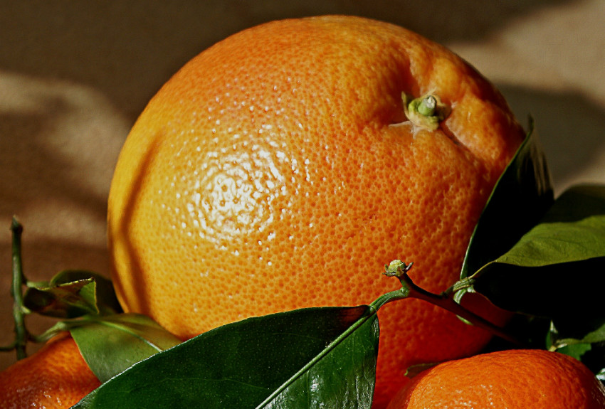 Comprar naranjas online: Un acierto que garantiza calidad