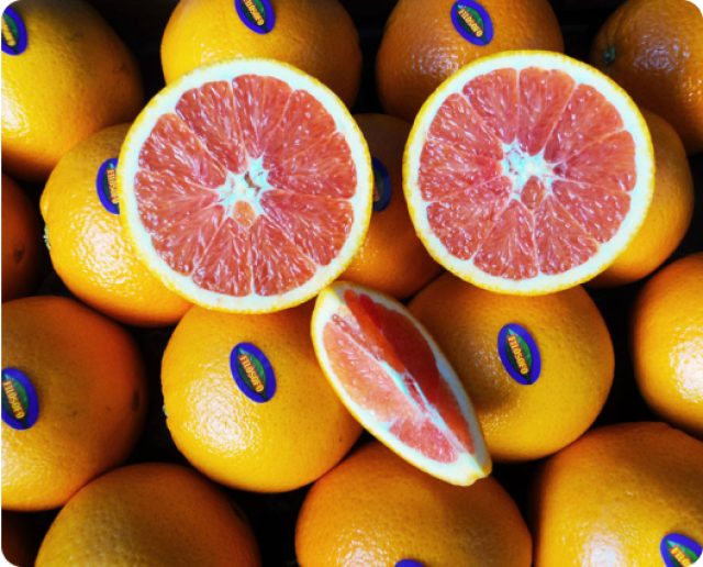 Naranjas Navel Cara Cara