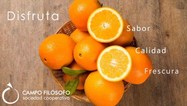Campo Filósofo te ofrece sus mejores naranjas online