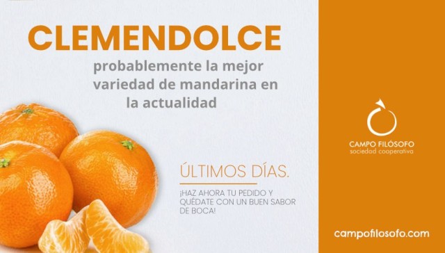 La Clemendolce es la estrella de las mandarinas