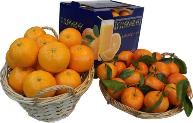 Las mejores naranjas de Valencia están en Internet