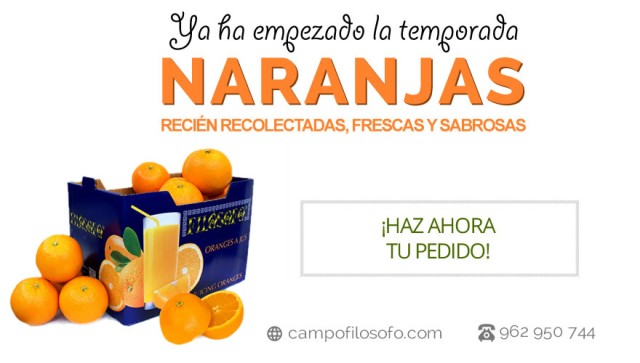 ¿Ganas de naranjas valencianas frescas? ¡Compra online!
