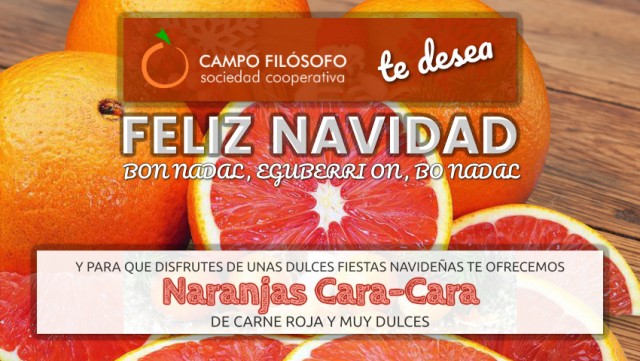 Disfruta de la Navidad con naranjas muy dulces